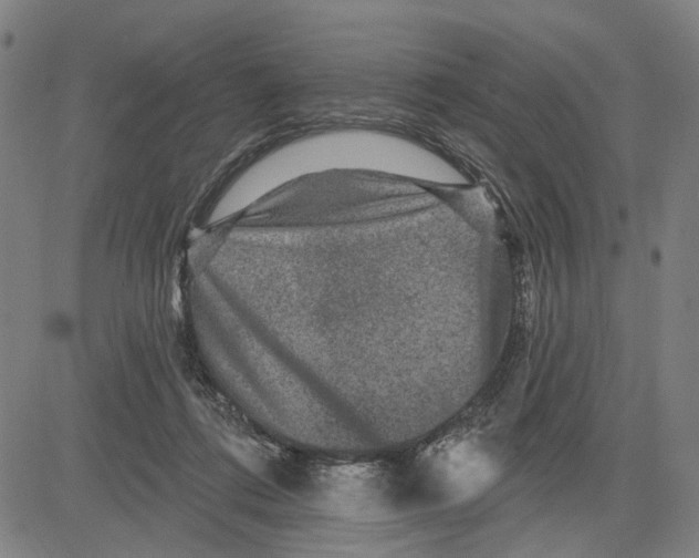 X0000081440312200702021724