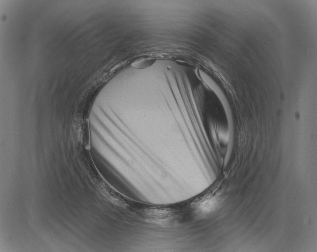 X0000081440313200702021724