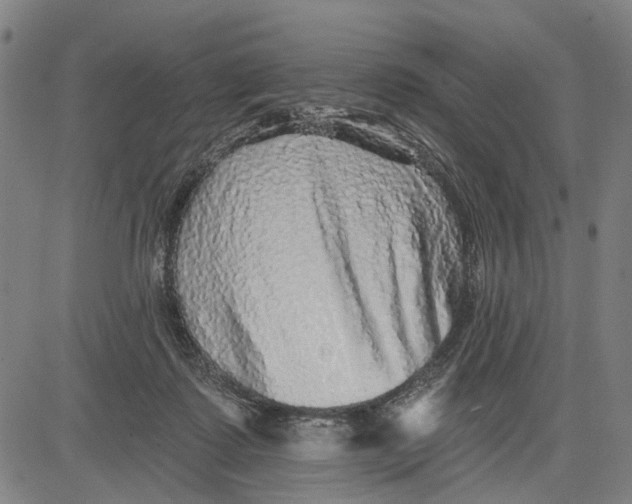 X0000081440315200702021724