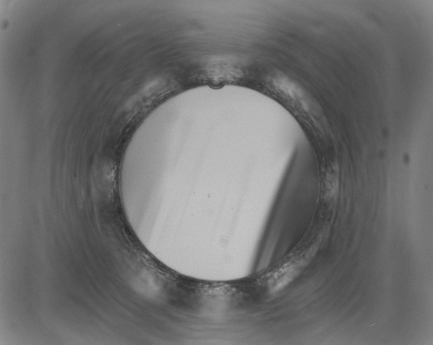 X0000081440321200702021724