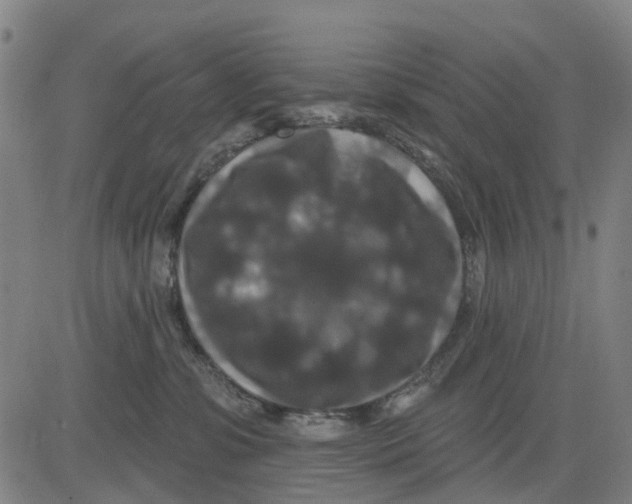 X0000081440331200702021723