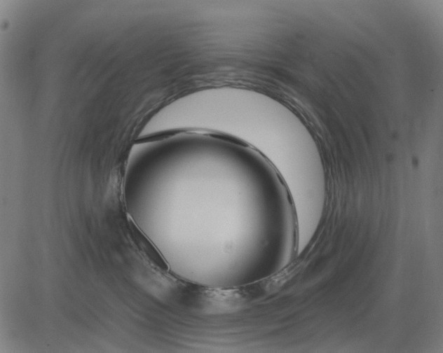 X0000081440333200702021723