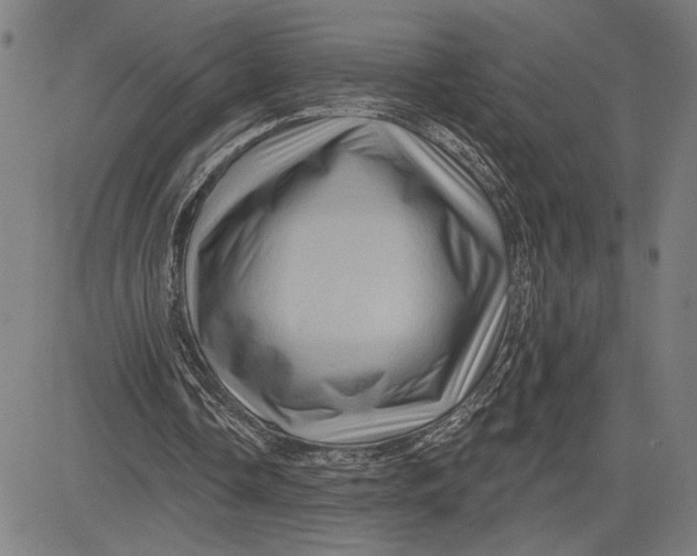 X0000081440338200702021723