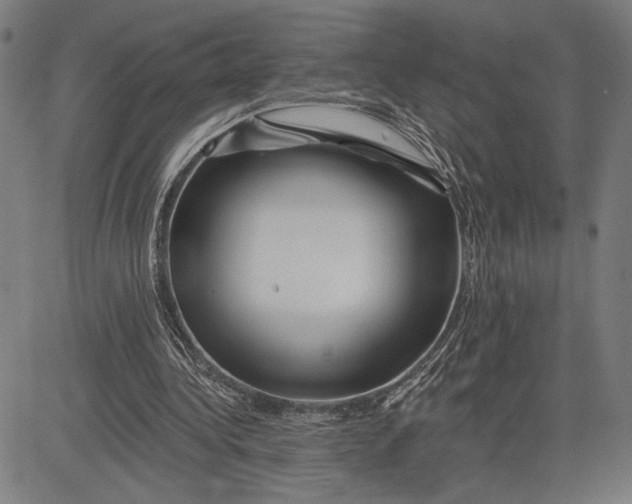 X0000081440340200702021723