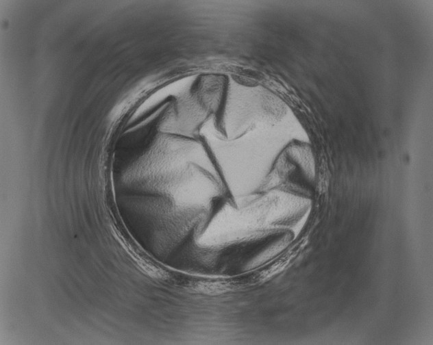 X0000081440341200702021723