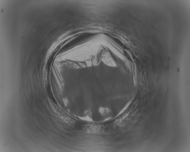 X0000081440343200702021723