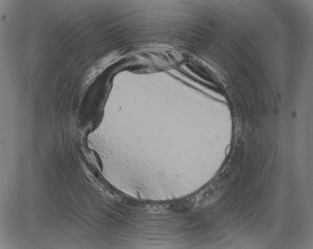 X0000081440345200702021723