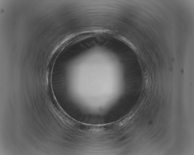 X0000081440350200702021723