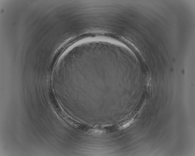 X0000081440352200702021723