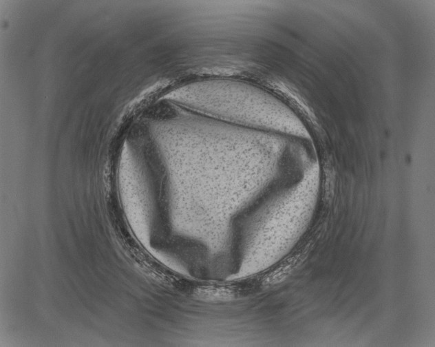 X0000081440354200702021723