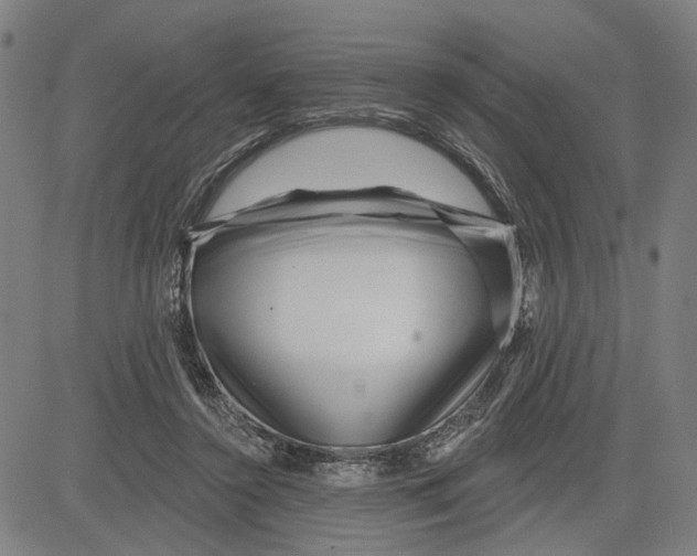 X0000081440356200702021723