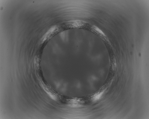 X0000081440366200702021723