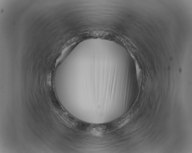 X0000081440368200702021723
