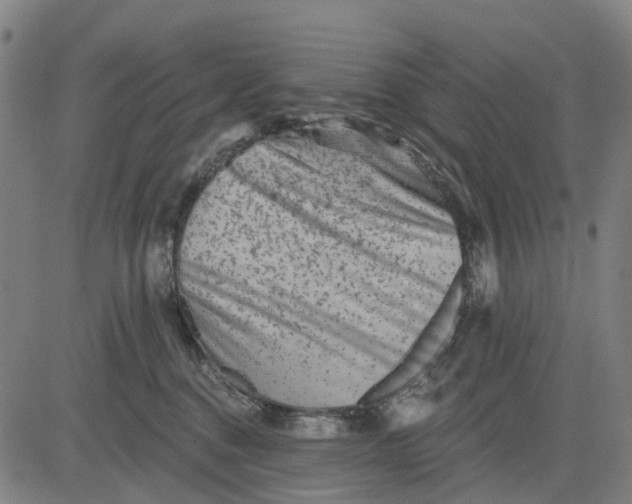 X0000081440376200702021723