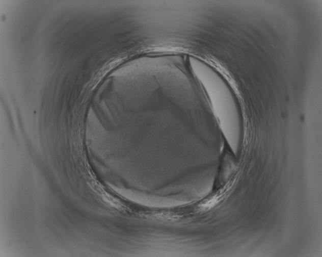 X0000081440385200702021723