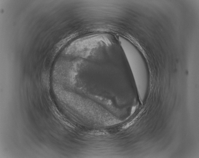 X0000081440386200702021723