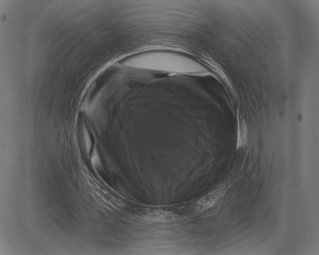 X0000081440387200702021723