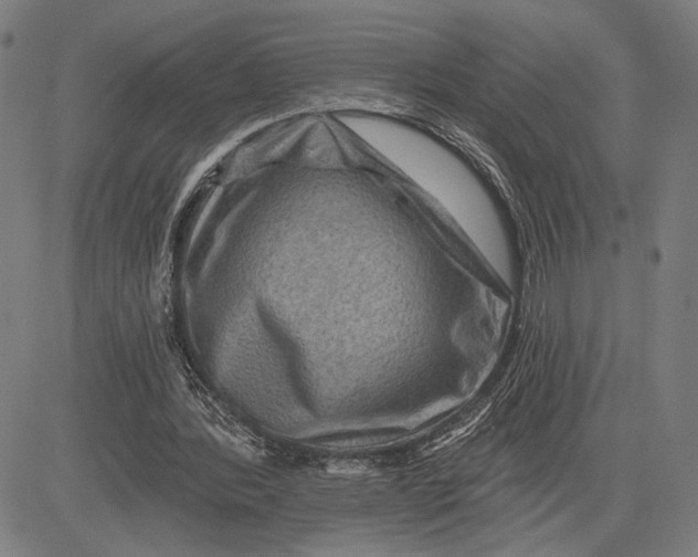 X0000081440388200702021723
