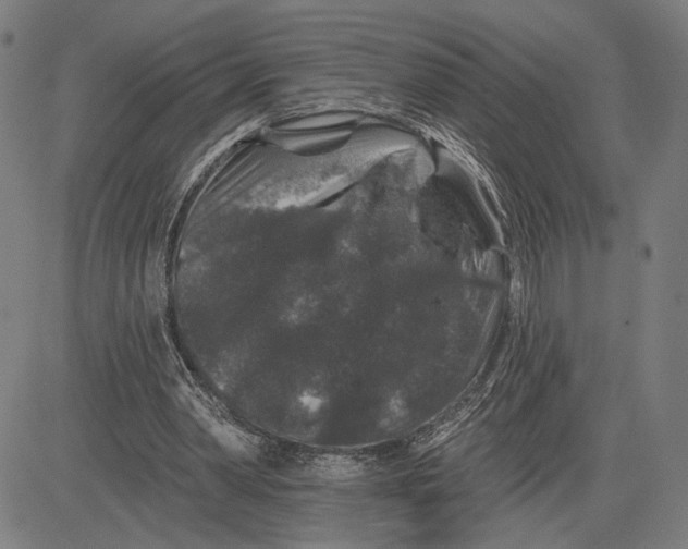 X0000081440390200702021722