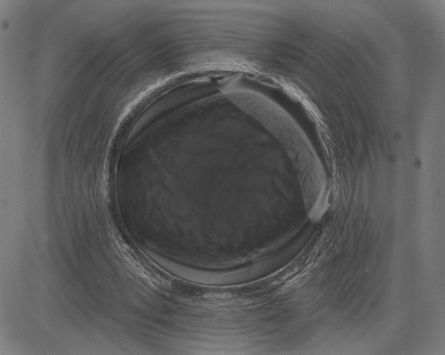 X0000081440391200702021722
