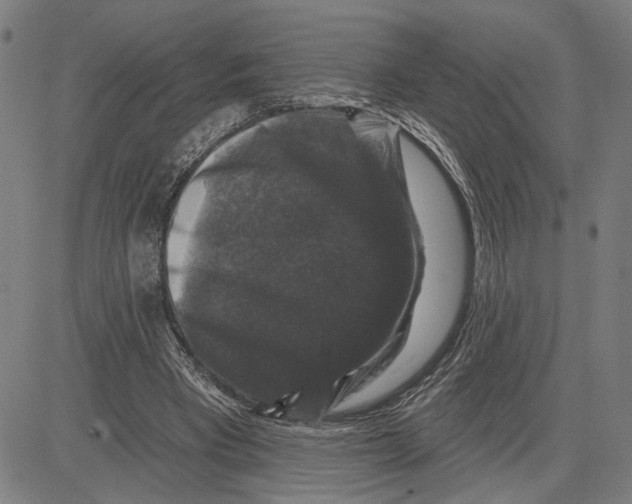 X0000081440393200702021722
