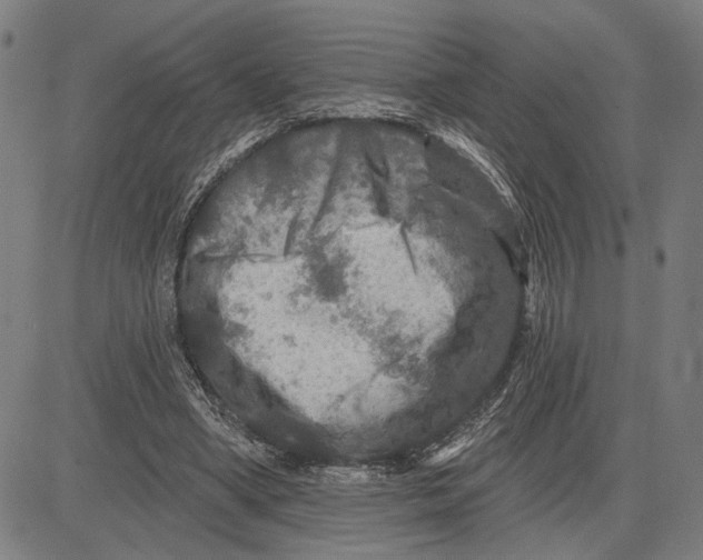 X0000081440394200702021722