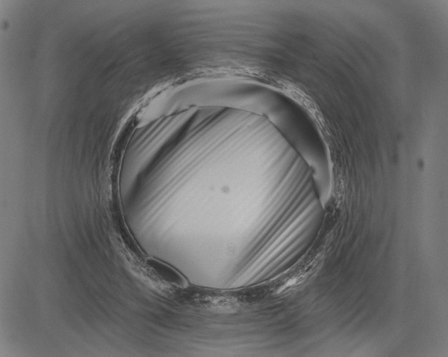 X0000081440395200702021722