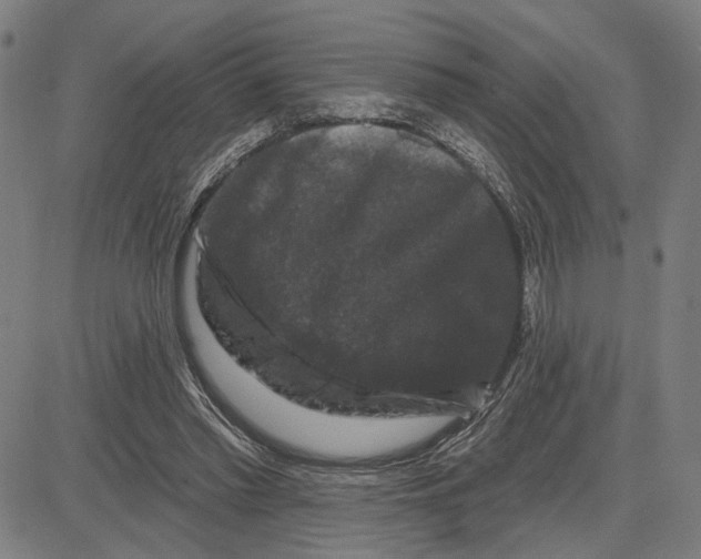 X0000081440397200702021722