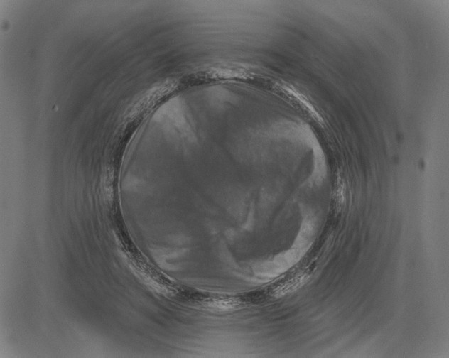 X0000081440402200702021722