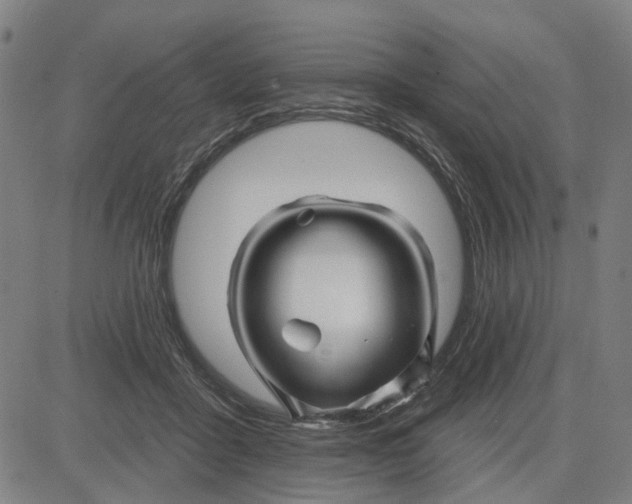 X0000081440411200702021722
