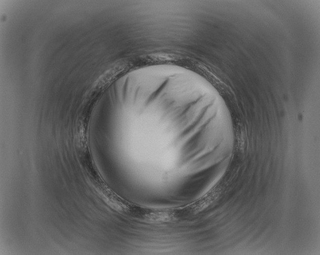 X0000081440418200702021722