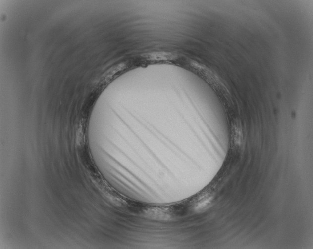 X0000081440422200702021722