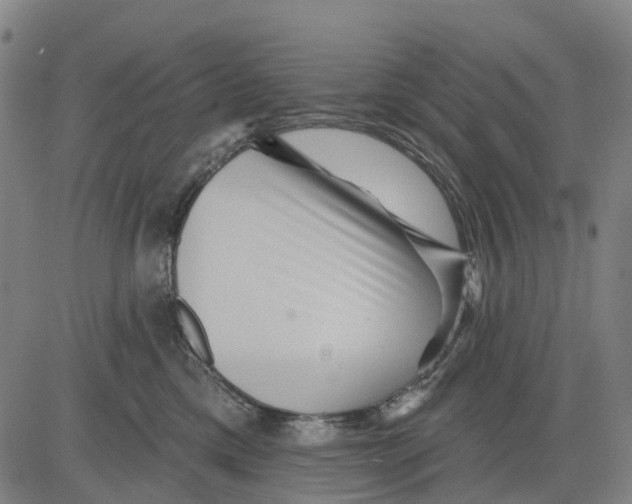 X0000081440425200702021722