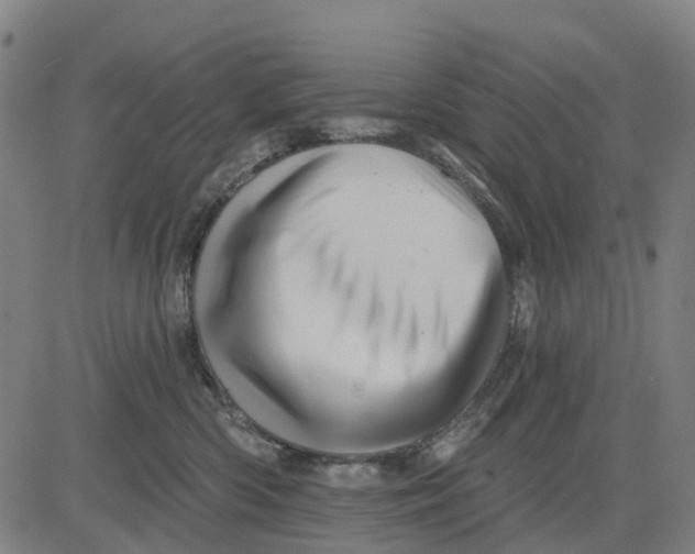 X0000081440426200702021722