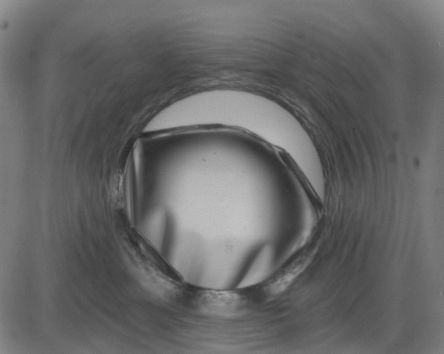 X0000081440429200702021722