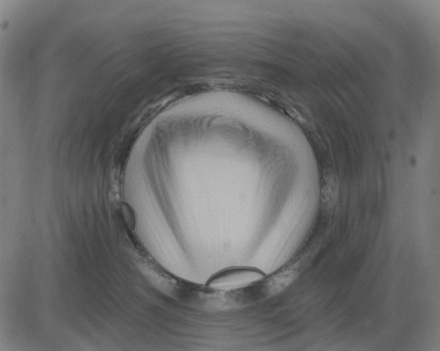 X0000081440430200702021722