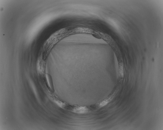 X0000081440431200702021722