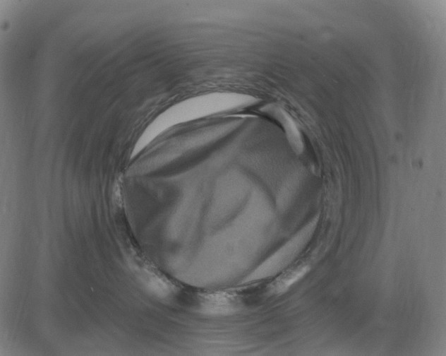 X0000081440432200702021722