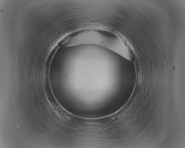 X0000081440436200702021721