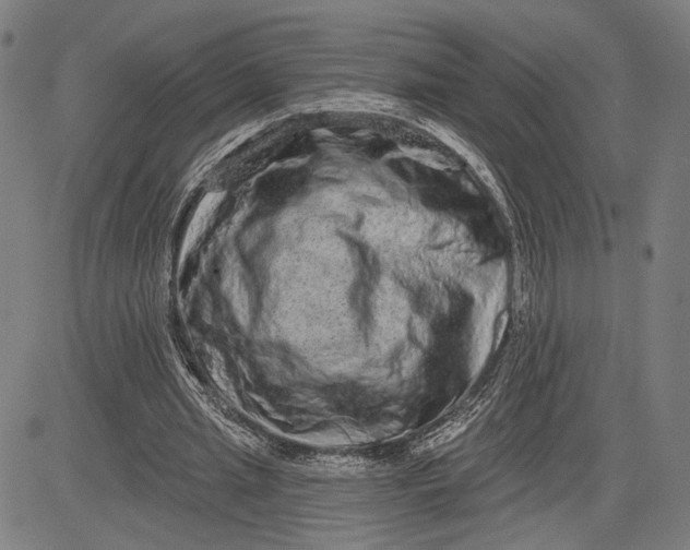 X0000081440437200702021721