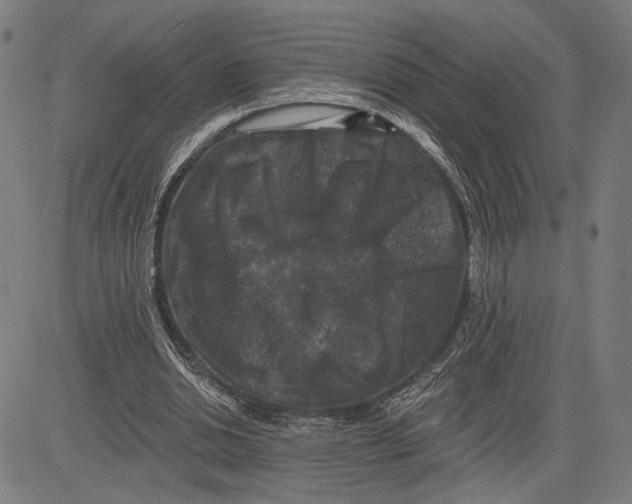 X0000081440438200702021721