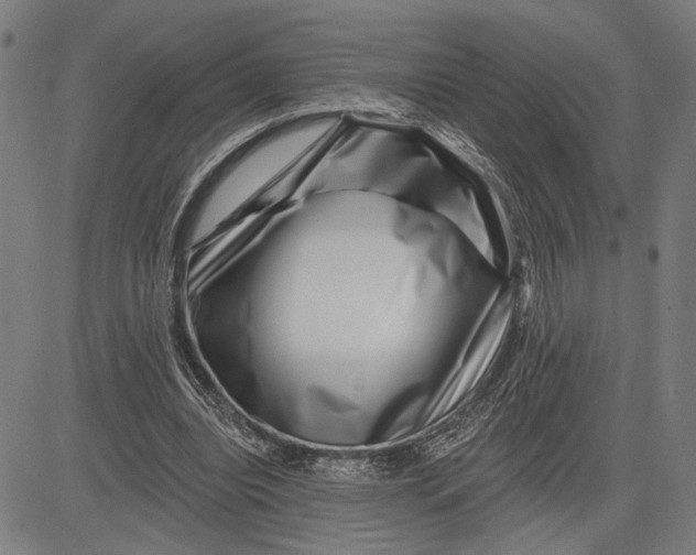 X0000081440440200702021721