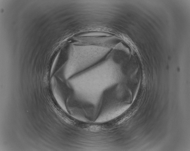 X0000081440441200702021721