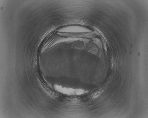 X0000081440443200702021721