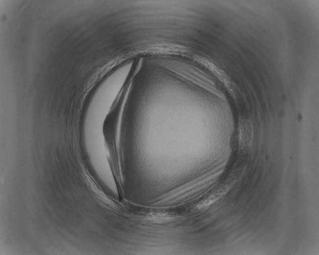 X0000081440445200702021721