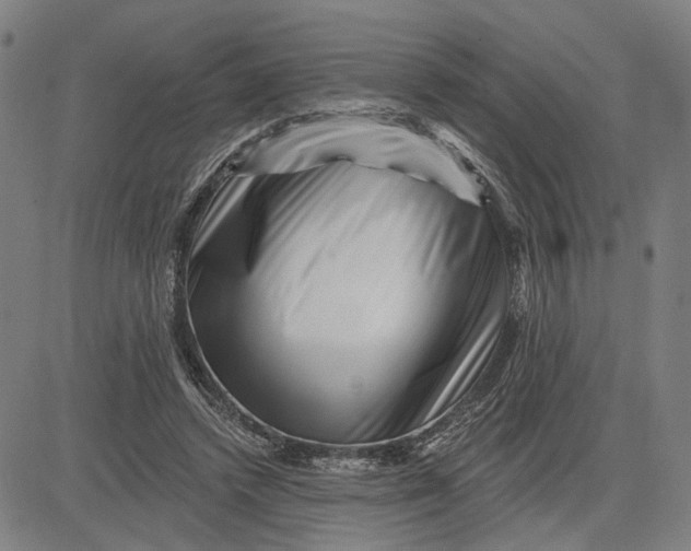 X0000081440448200702021721