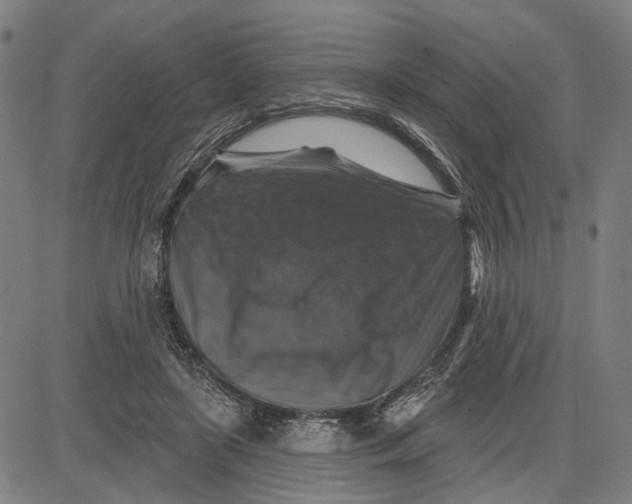 X0000081440451200702021721