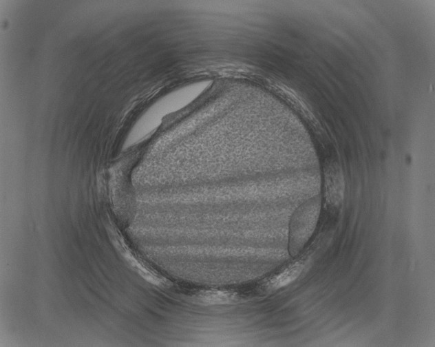 X0000081440453200702021721