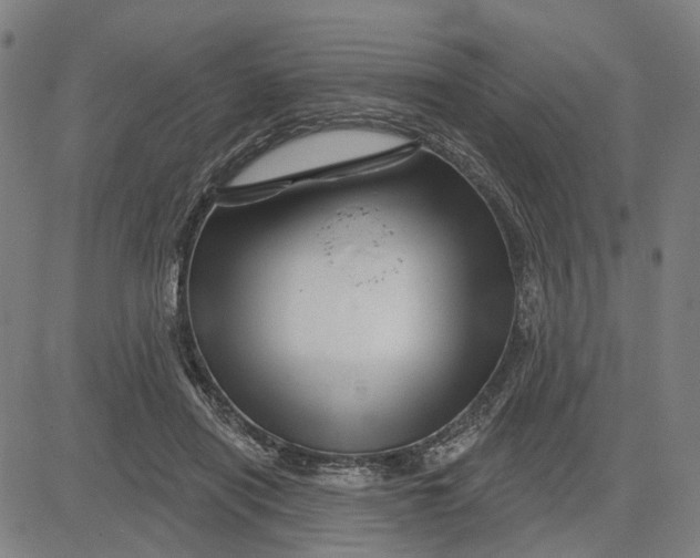 X0000081440454200702021721
