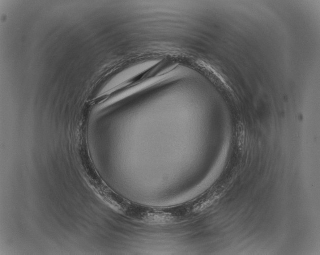 X0000081440455200702021721